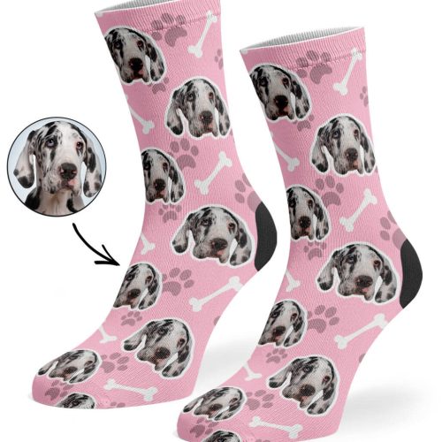 face socks with your dog