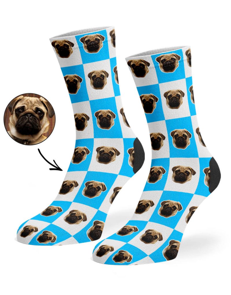 Blue Chequered Dog Socks