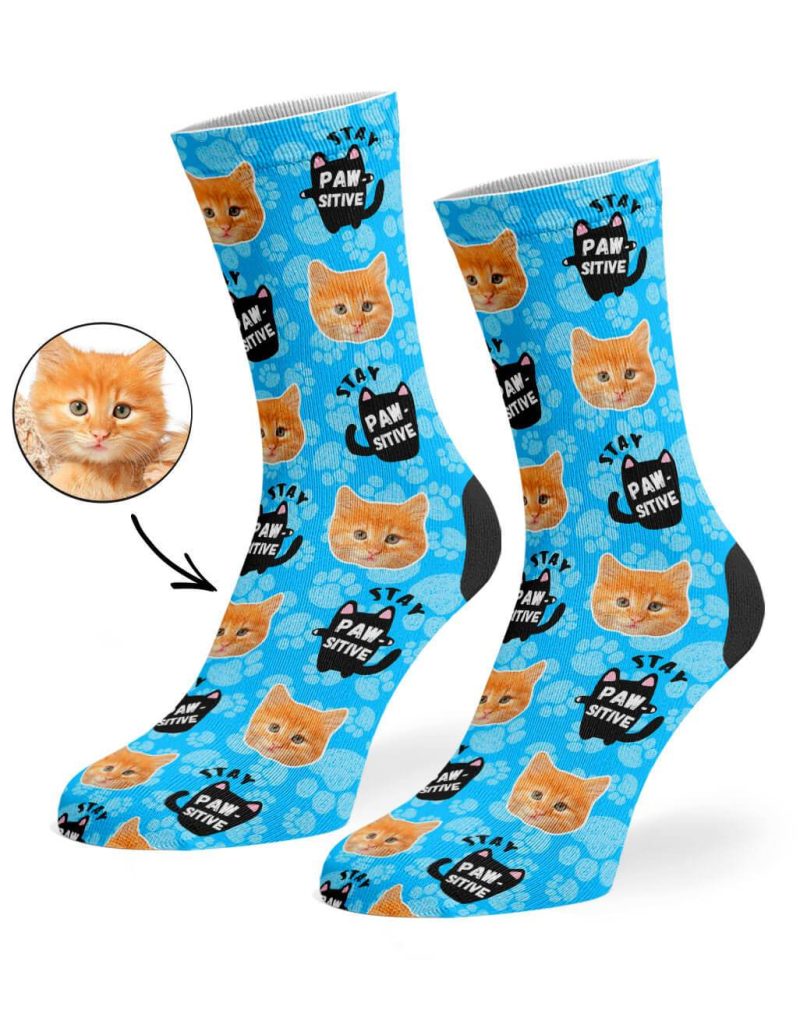 Blue Stay Pawsitive Socks