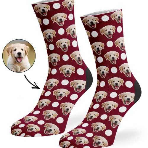 Burgundy Polka Dog Socks