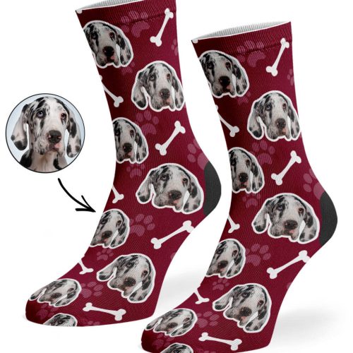 pet socks