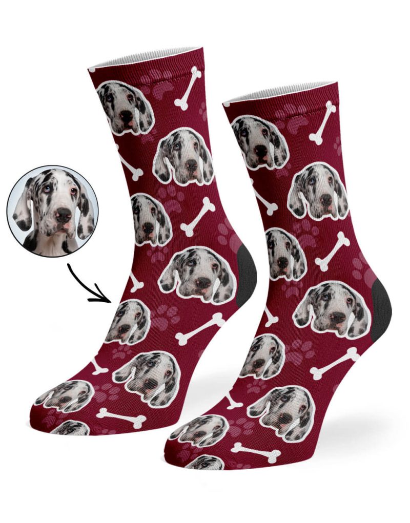 pet socks