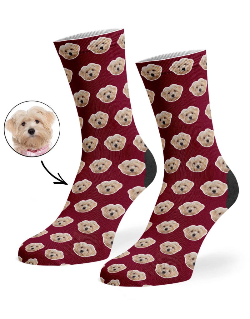 Burgundy Your Dog Pattern Socks