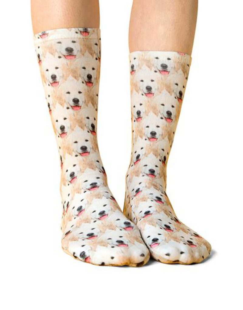 Dog Mash Socks