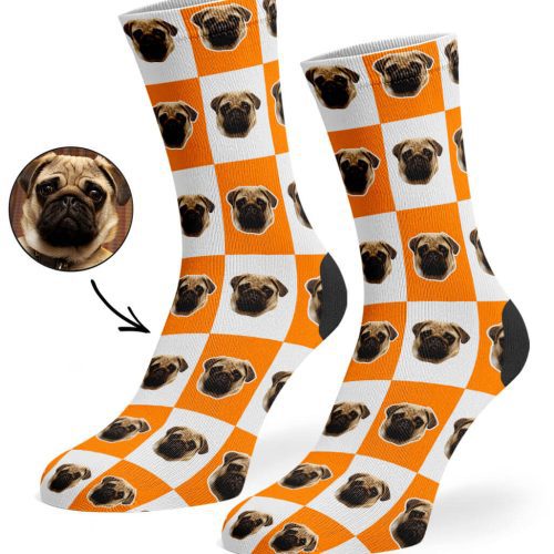 Orange Chequered Dog Socks