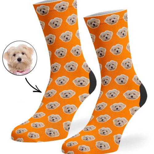 Orange Your Dog Pattern Socks