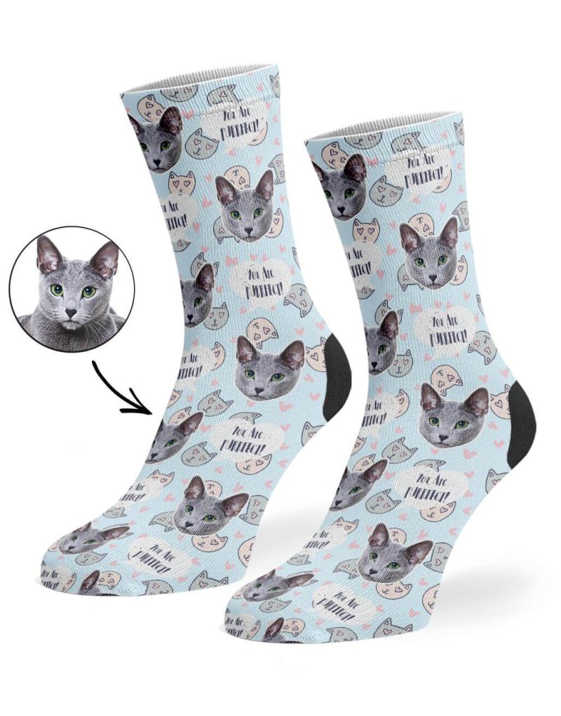 Pale Blue You Are Purrfect Socks