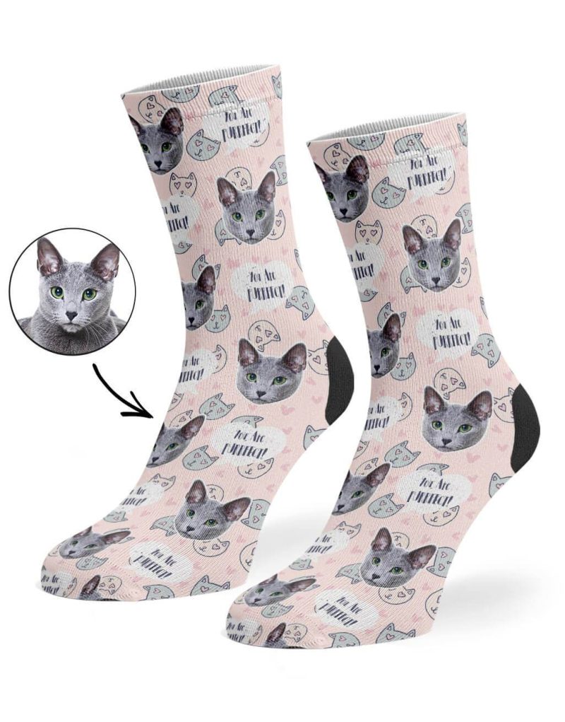 Pale Peach You Are Purrfect Socks