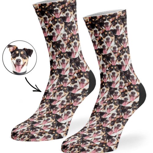 Pet Mash Up Socks 424d9cf1 4bc0 4c4c 8103 47fe6e468d11