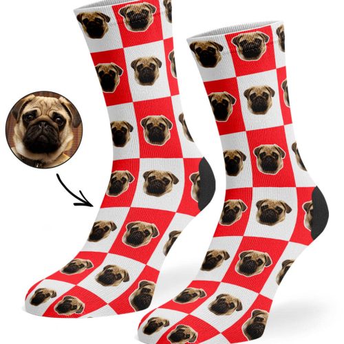 Red Chequered Dog Socks