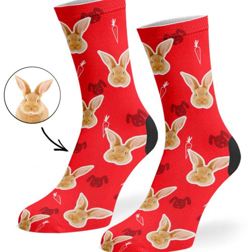 Red Your Rabbit on Socks