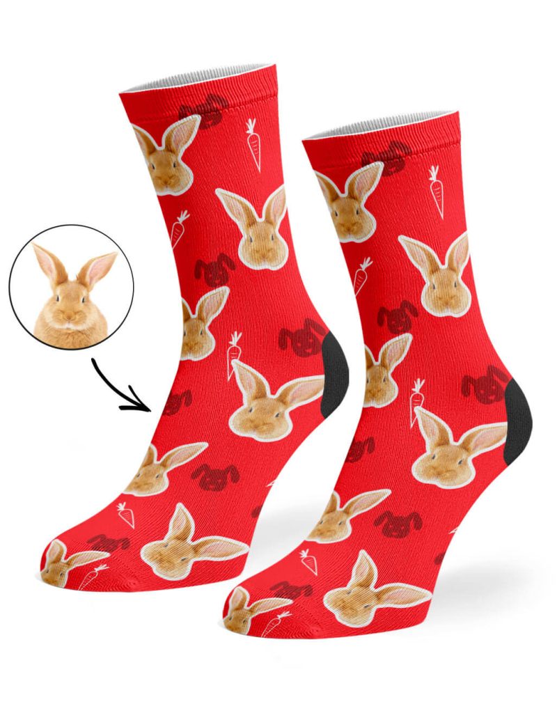 Red Your Rabbit on Socks