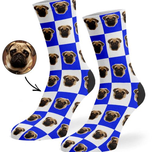 Royal Blue Chequered Dog Socks