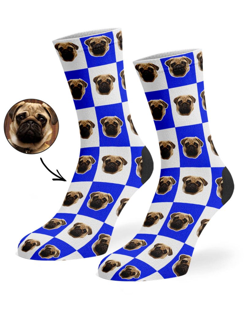 Royal Blue Chequered Dog Socks