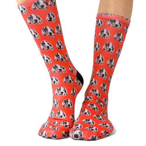 Your Dog Pattern Socks