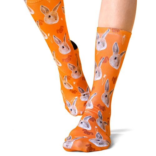 Your Rabbit on Socks