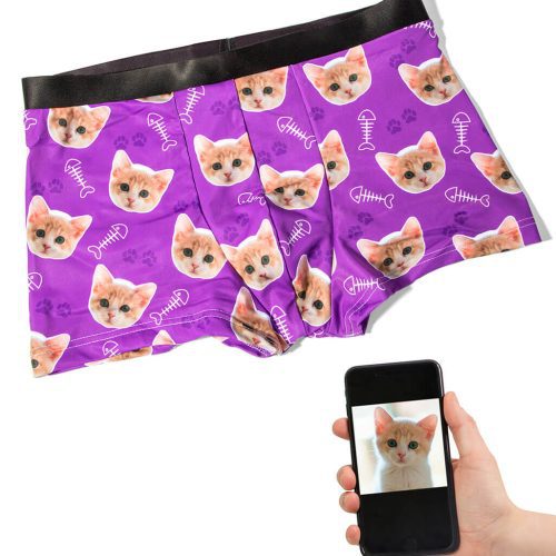 Your Cat Boxers