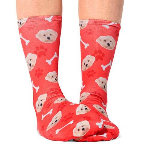 Your Dog On Socks