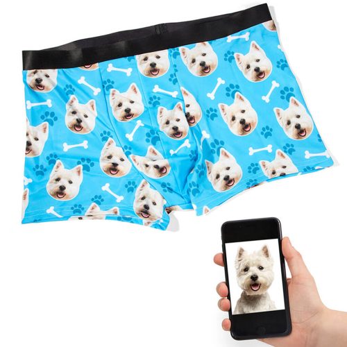 dog face boxers